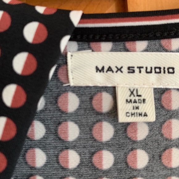 Fit & flare dot print dress. Max Studio. NWOT - Picture 3 of 4